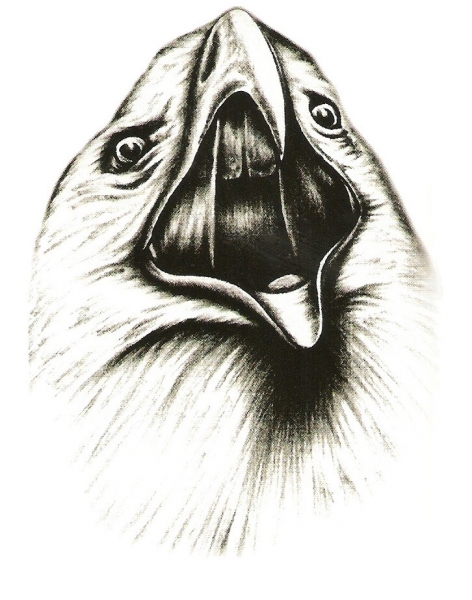 Card image cap